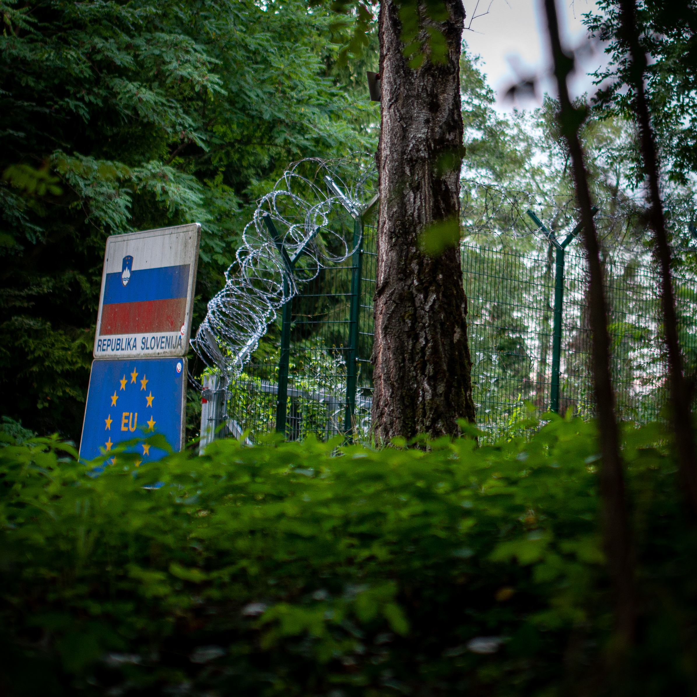Grenzzaun an der slowenisch-kroatischen Grenze
