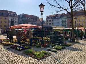 Eine Marktszene in Jena: Blumen und Menschen
