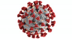 Eine Simulation eines Corona-Virus