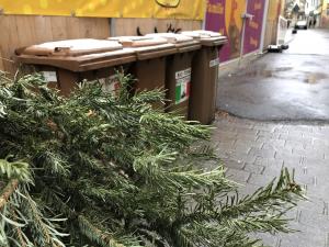 Ein alter Weihnachtsbaum liegt auf der Straße