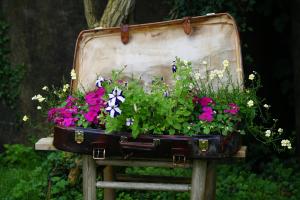 Ein Koffer voller blühender Pflanzen
