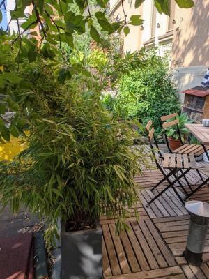 Ein Balkon mit Pflanzen