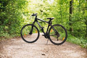 Ein Fahrrad auf einem Weg im Wald