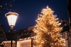 Der Jenaer Weihnachtsbaum auf dem Markt in der Nacht ist mit Schnee bedeckt.