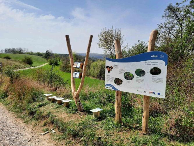 Leitsystem mit Schildern an Holzpfosten an einem Weg im Grünen