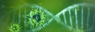 Viren mit DNA-Strang alles in grün
