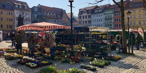 Eine Marktszene in Jena: Blumen und Menschen