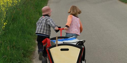 2 Kinder ziehen einen Bollerwagen auf einem asphaltierten Weg