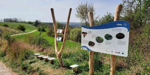 Leitsystem mit Schildern an Holzpfosten an einem Weg im Grünen