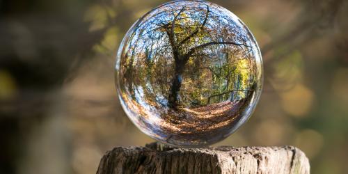 Eine Glaskugel steht auf einem Baustumpf im Wald. Der Wald spiegelt sich in der Kugel.