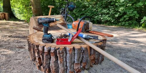 Auf der Scheibe eines Baumstammes steht Werkzeug.