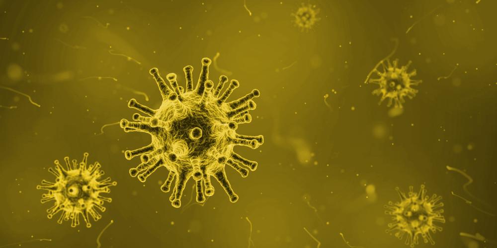 Ein Corona-Virus