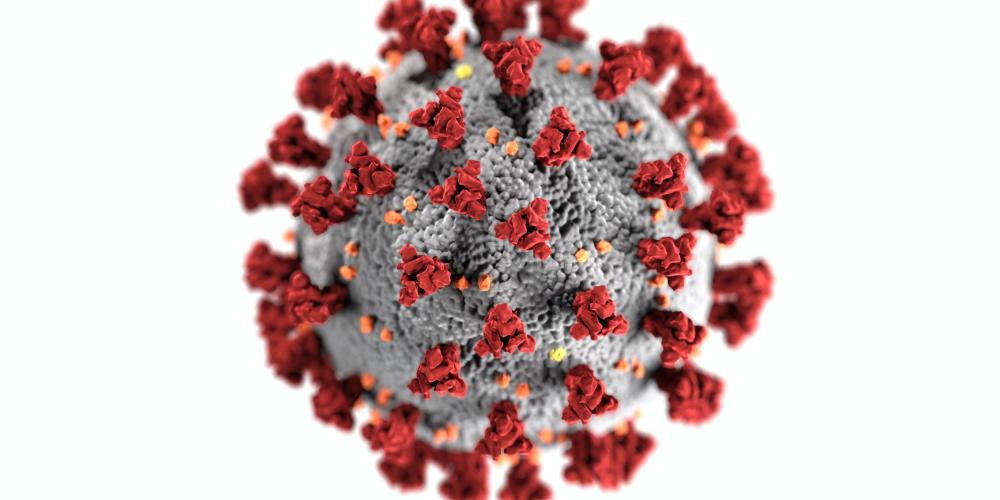 Eine Simulation eines Corona-Virus