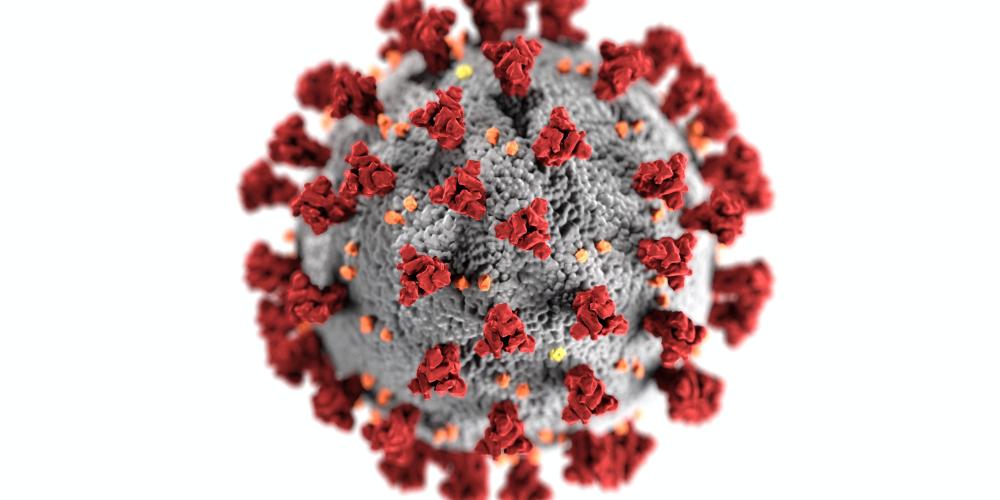 Das Coronavirus vergrößert betrachtet sieht aus wie eine graue rauhe Kugel mit roten Ausstülpungen