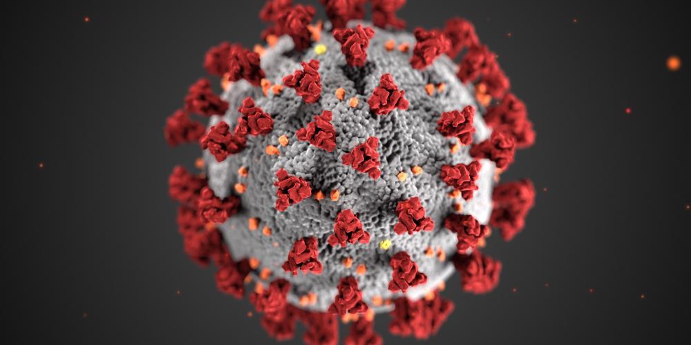 Das Coronavirus vergrößert betrachtet: eine graue rauhe Kugel mit roten Ausstülpungen rundherum