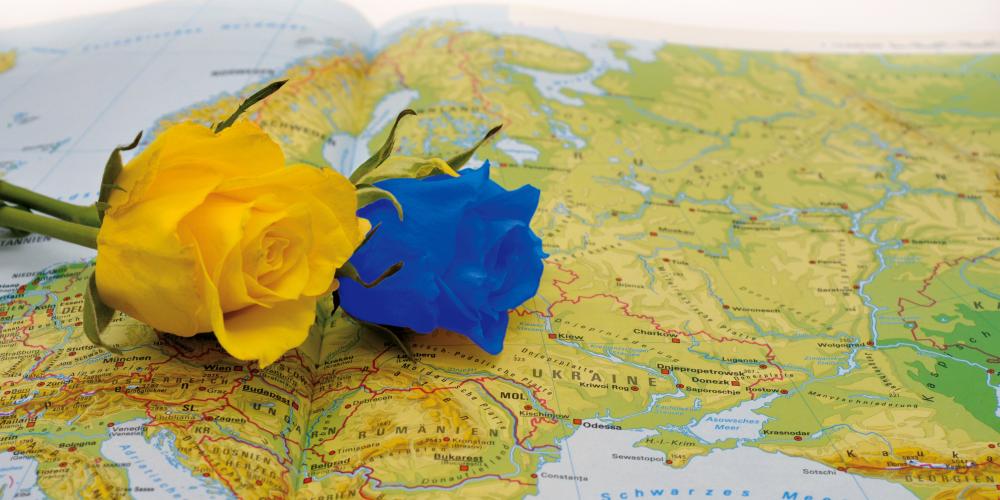 Zwei Rosen auf einer Landkarte von Europa