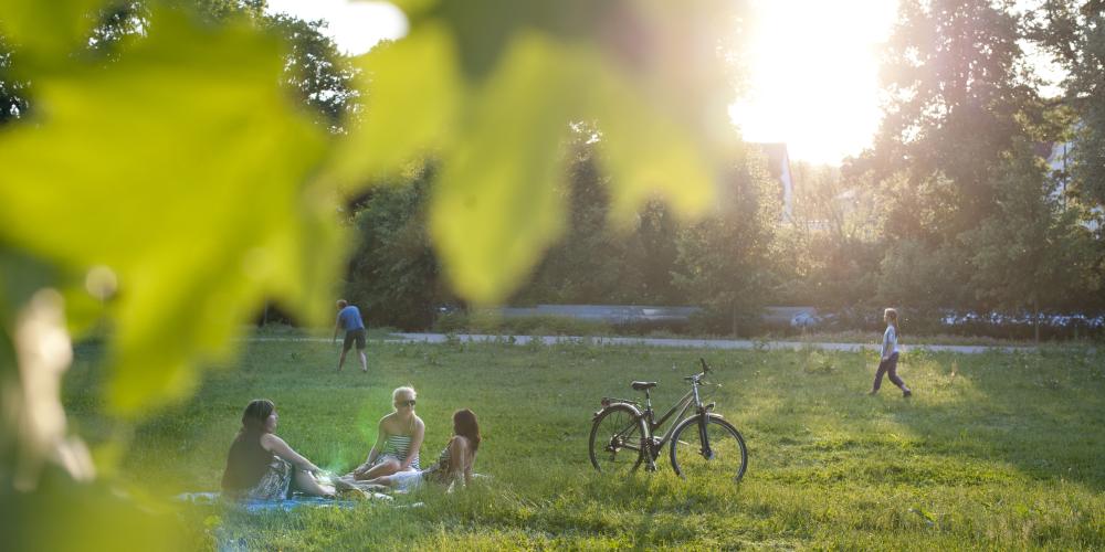Eine Gruppe Frauen sitzten neben einem Fahrrad im Paradiespark Jena, Jugendliche spielen Ball. Es scheint die Sonne.