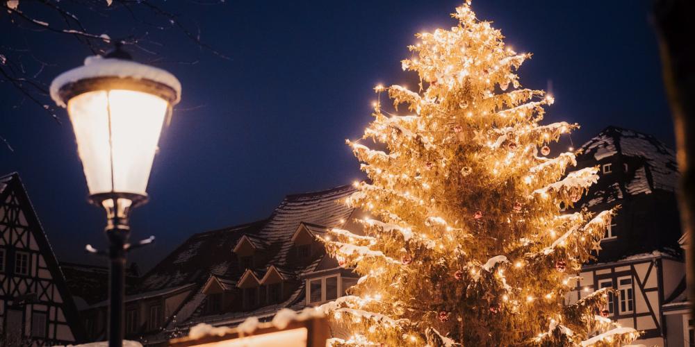 Der Jenaer Weihnachtsbaum auf dem Markt in der Nacht ist mit Schnee bedeckt.