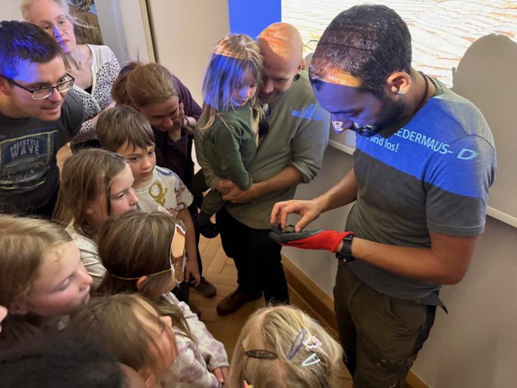 Präsentation einer Fledermaus