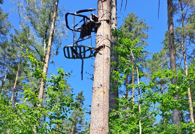 Klettersitz am Baum im Wald.