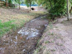 Ein Bach mit wenig Wasser