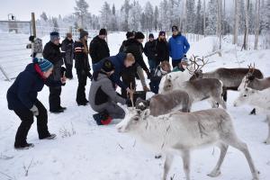 Eine Gruppe junger Menschen mit Rentieren