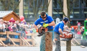 Menschen sägen an Baumstämmen