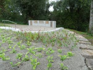 Eine neu bepflanzte Anlage