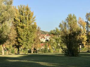 Eine Parklandschaft im Herbst, im Hintergrund der Fuchsturm