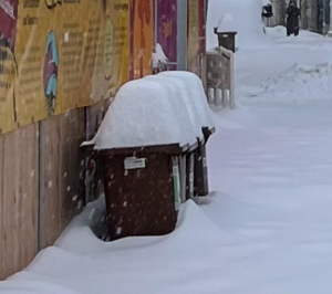 Müllbehälter im Schnee