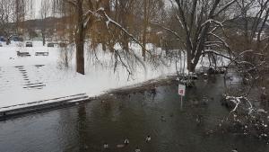 Blick von einer Brücke aus auf den Fluss Saale mit einer verschneiten Wiese und Bäumen im Hintergrund
