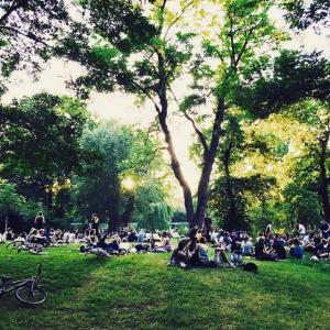 Menschen auf einer großen Wiese