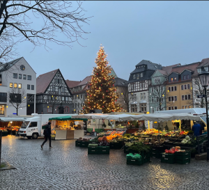 Ein Weihnachtsbaum mit Markständen