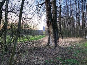 Ein Park mit Bäumen