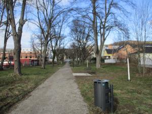 Ein Weg mit Linden am Wegesrand und neuen Bänken