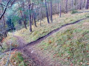 Zwei sich querende Wege