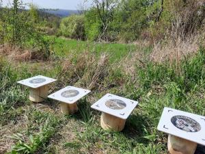 Leitsystem mit Schildern, die in Bödennähe angebracht sind, im Grünen