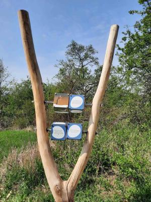 Leitsystem mit Schildern an einem hölzernen Ständer im Grünen