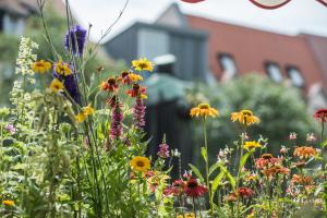 Der Jenaer Markt mit Blumen