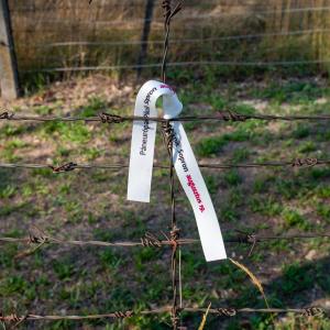 Eine Schleife an einem Zaun