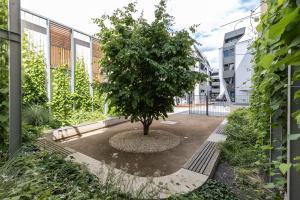 Foto zeigt Parkausschnitt mit Sitzbänken am Rand, grüner Wand und großem Baum in der Mitte.