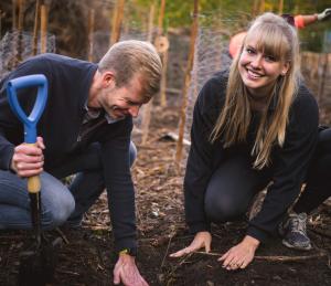 Ein Mann und eine Frau pflanzen einen Baum.