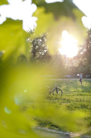 Jugendlicher beim Ballspielen im Paradiespark Jena. Die Sonne scheint.