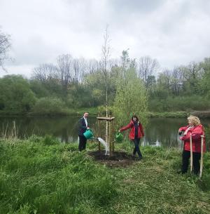 Zwei Menschen haben einen Baum gepflanzt