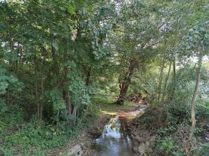 Der Gembdenbach führt noch Wasser.