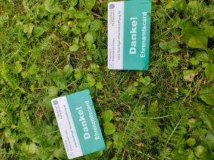 Karten liegen auf einer Wiese