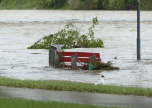 ein Fluss der so hoch angestiegen ist, dass eine Bank, ein Busch und ein Schild Unterwasser stehen