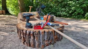 Auf der Scheibe eines Baumstammes steht Werkzeug.