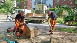 Zwei Männer stellen  große Scheiben eines Baumstammes zum Klettern auf.