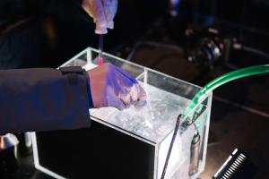 Zwei Hände halten etwas in eine mit Wasser gefüllte Box.